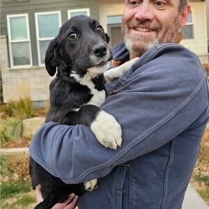 Meet your Posher, Matt